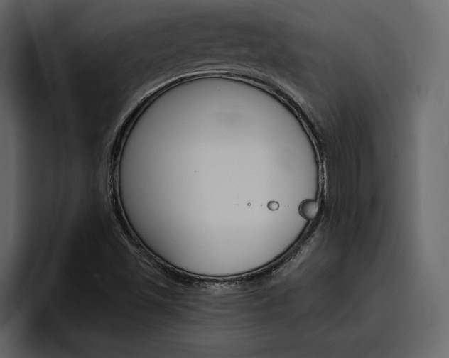 X0000097491501200802220830