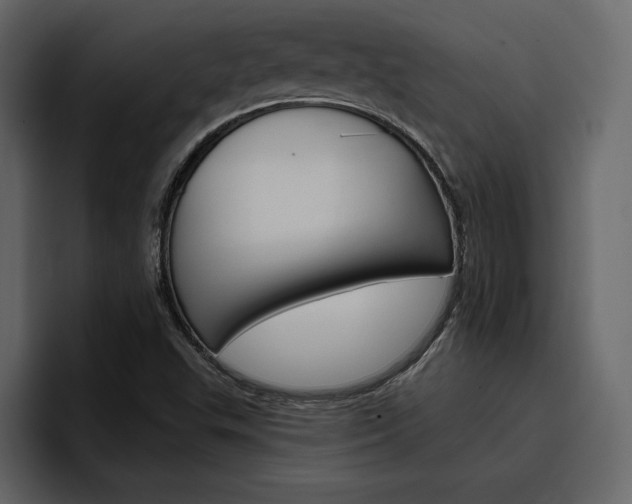 X0000097491503200802220830