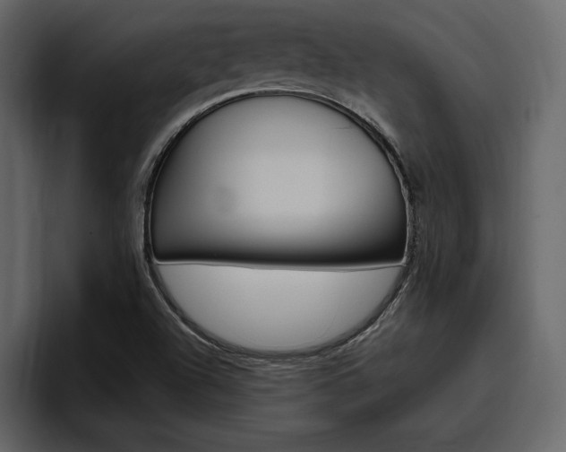 X0000097491504200802220830