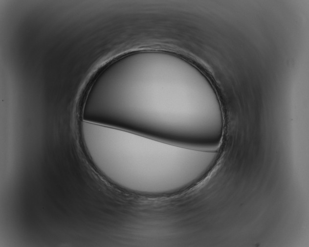 X0000097491506200802220830