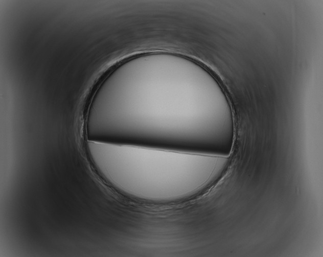 X0000097491507200802220830