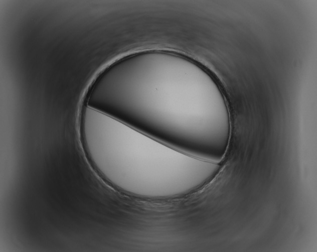 X0000097491508200802220830