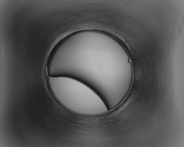 X0000097491509200802220830