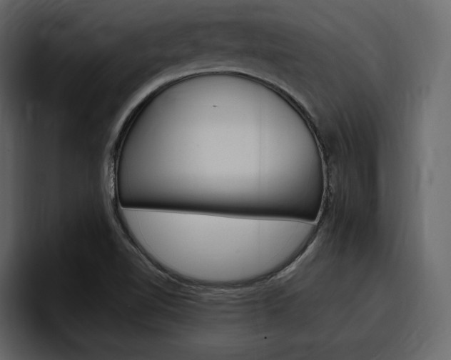 X0000097491510200802220830