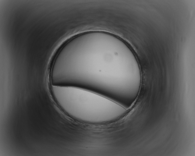 X0000097491511200802220830