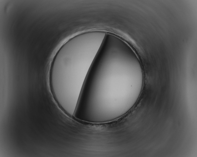 X0000097491512200802220830
