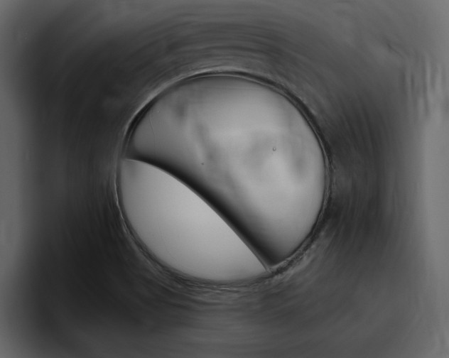 X0000097491513200802220830