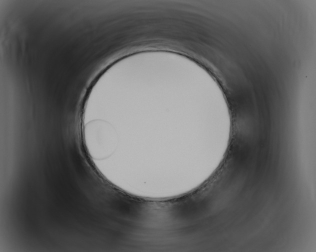 X0000097491514200802220830