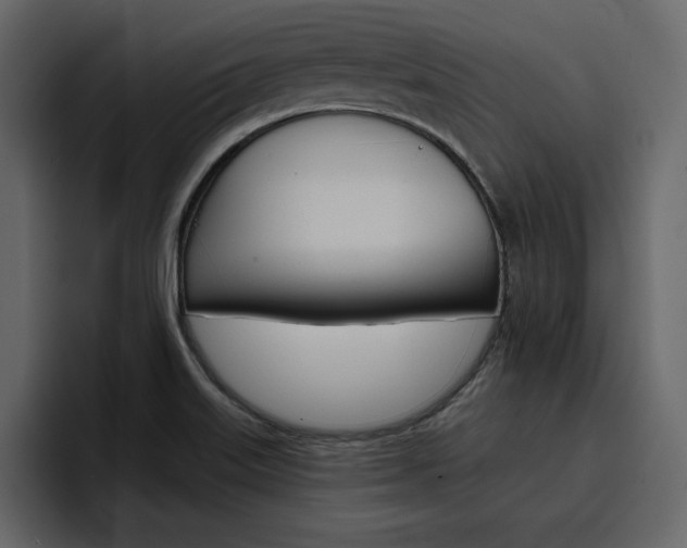 X0000097491515200802220830