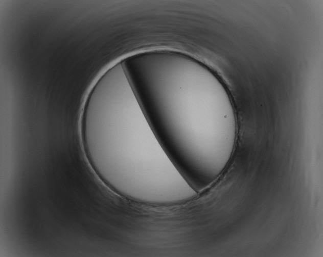 X0000097491516200802220830