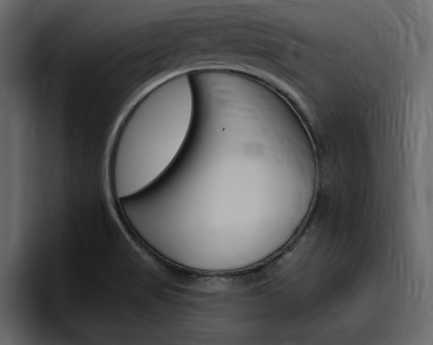X0000097491517200802220830