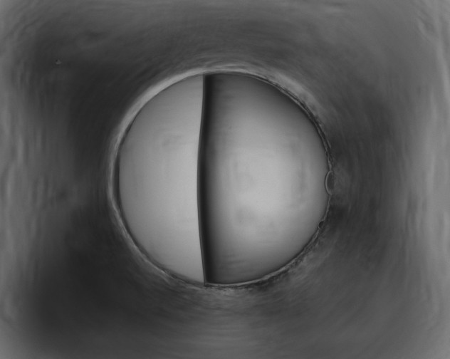 X0000097491520200802220830
