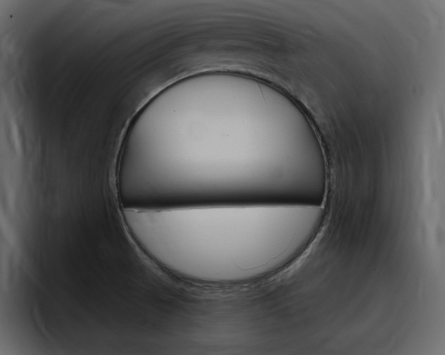 X0000097491521200802220830