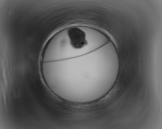 X0000097491522200802220830