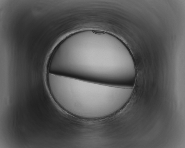 X0000097491523200802220830