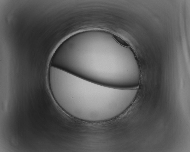 X0000097491524200802220830