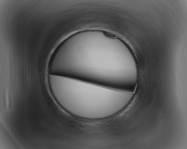 X0000097491525200802220830