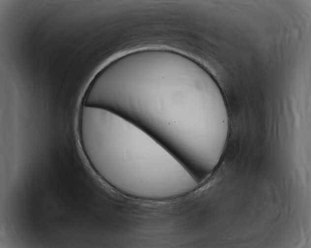 X0000097491526200802220830