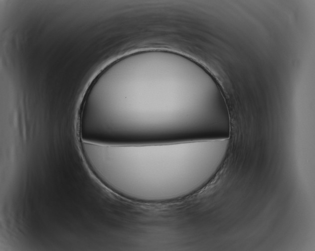 X0000097491527200802220830