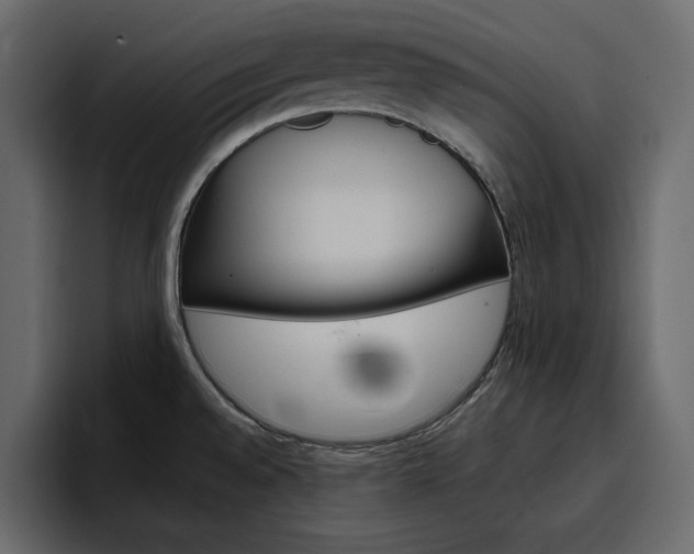 X0000097491528200802220830