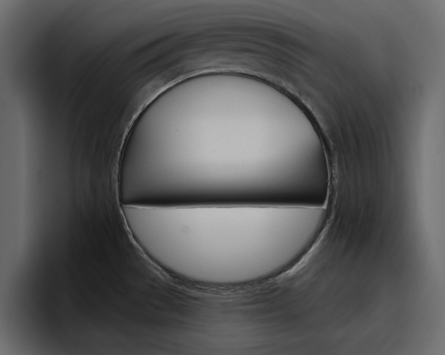X0000097491529200802220830