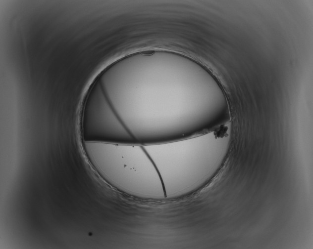 X0000097491530200802220830
