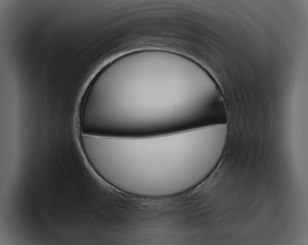 X0000097491531200802220830