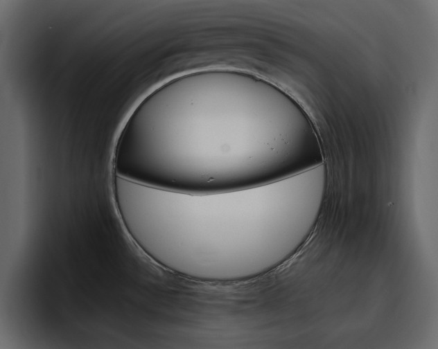 X0000097491532200802220830