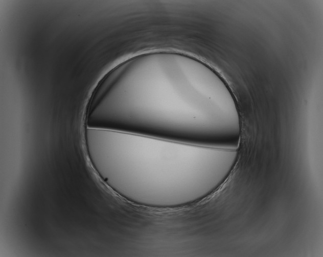 X0000097491534200802220830