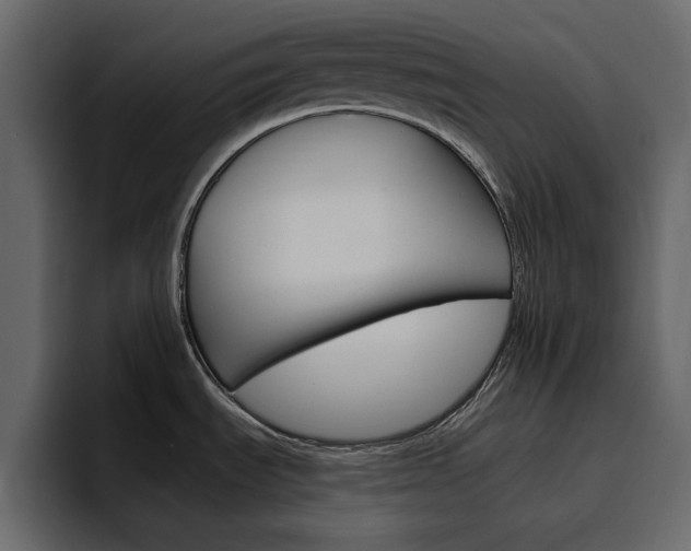 X0000097491535200802220830