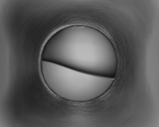X0000097491536200802220830