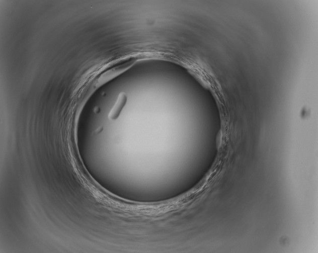 X0000097490001200802221426