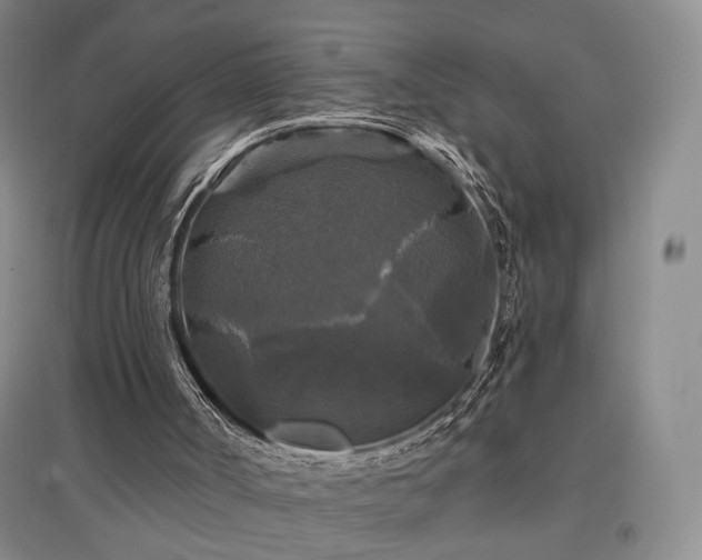 X0000097490002200802221426