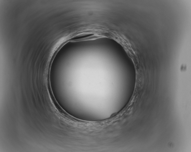 X0000097490003200802221425