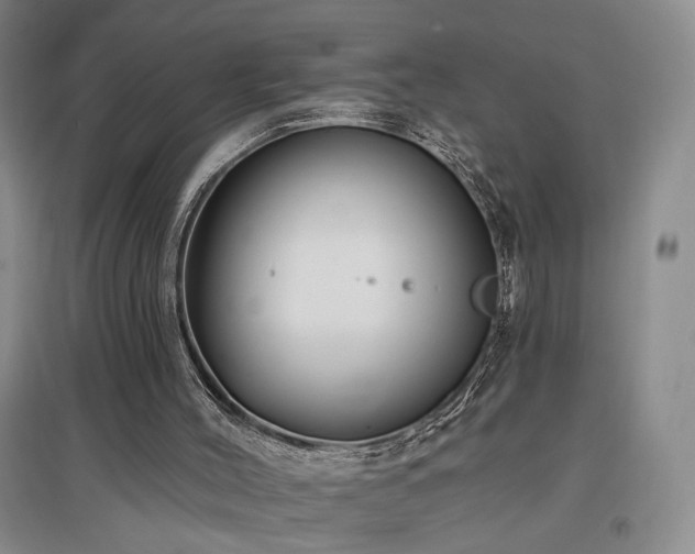 X0000097490004200802221425