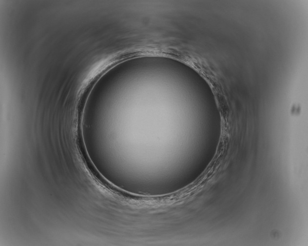 X0000097490005200802221425