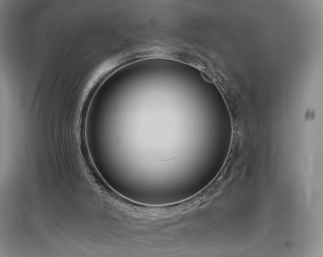 X0000097490006200802221425