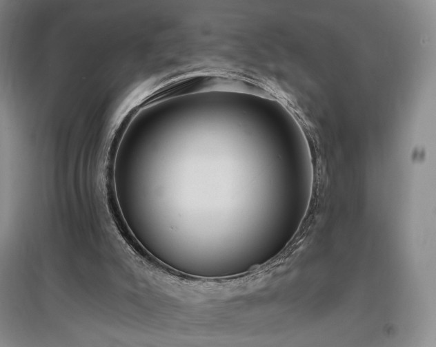 X0000097490007200802221425