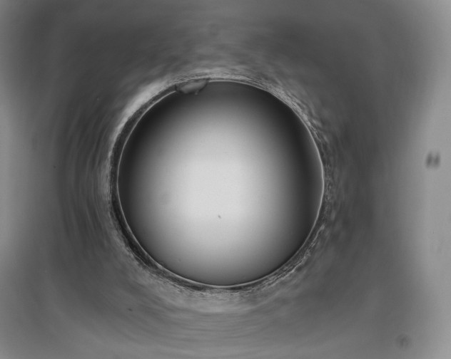 X0000097490008200802221425