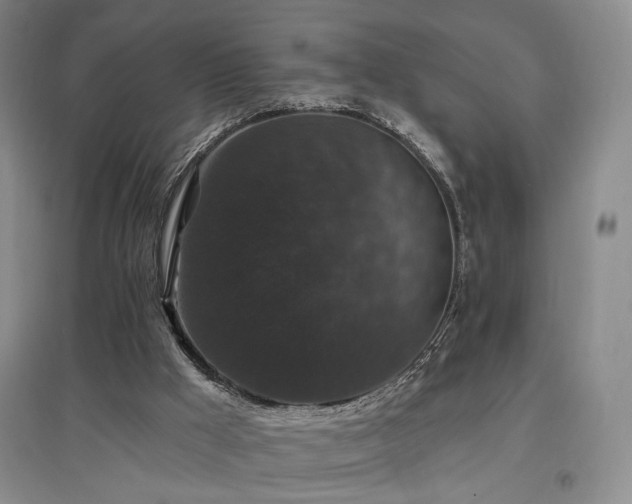 X0000097490009200802221425