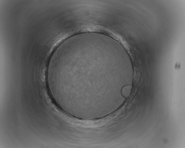 X0000097490010200802221425