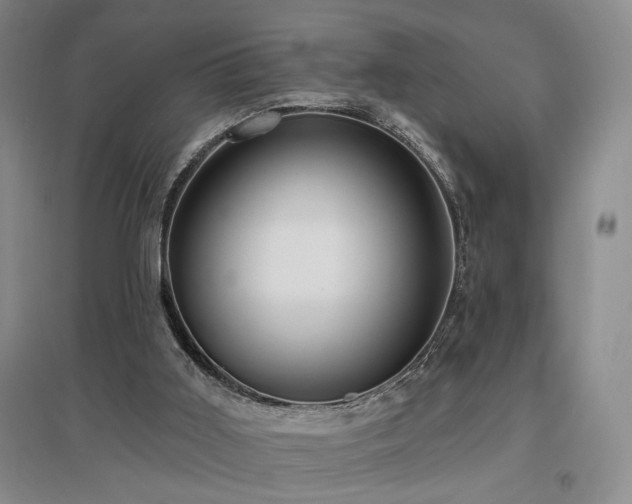 X0000097490011200802221425