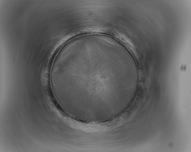 X0000097490012200802221425