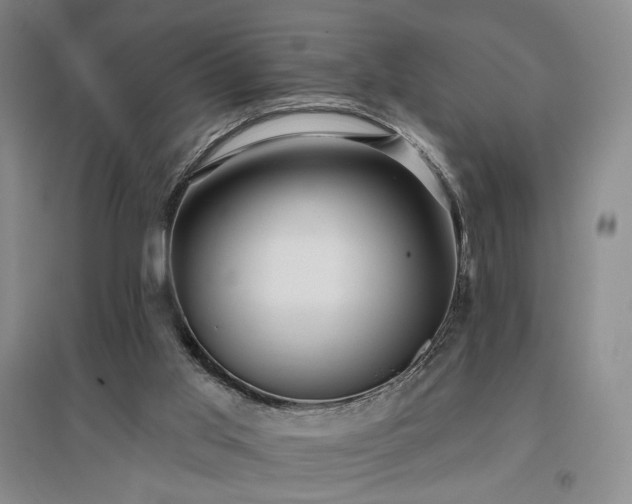 X0000097490013200802221425