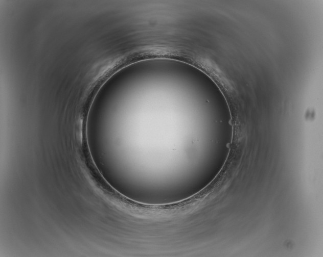 X0000097490014200802221425