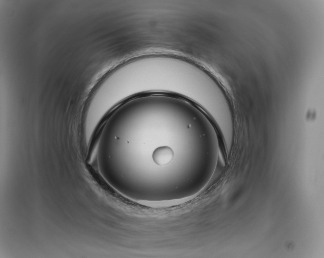 X0000097490015200802221425