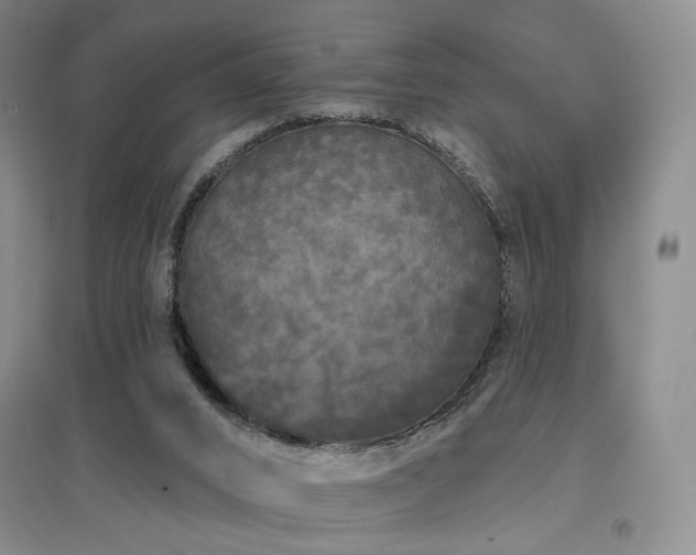 X0000097490016200802221425