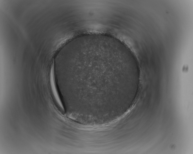 X0000097490017200802221425