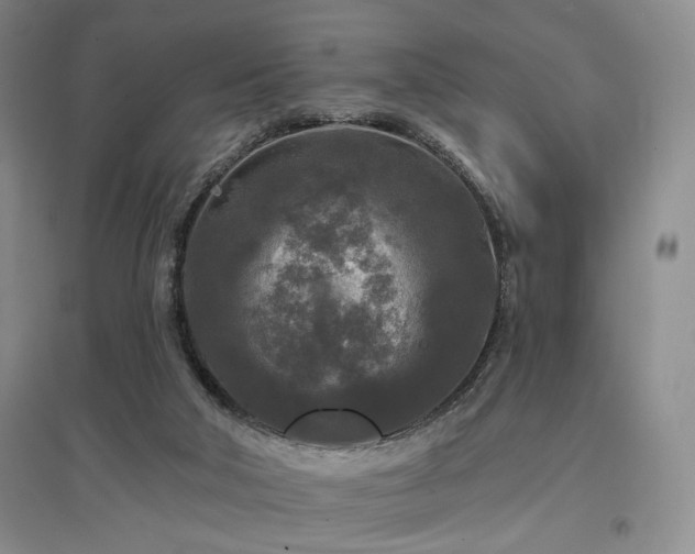 X0000097490018200802221425