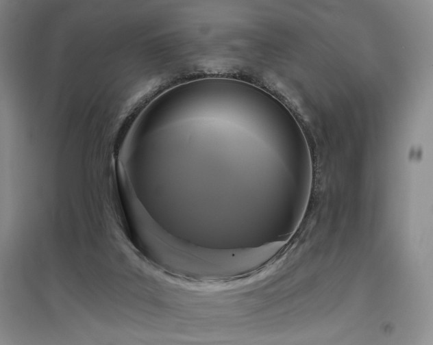 X0000097490019200802221425